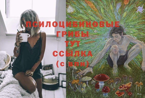 соль ск Алексеевка