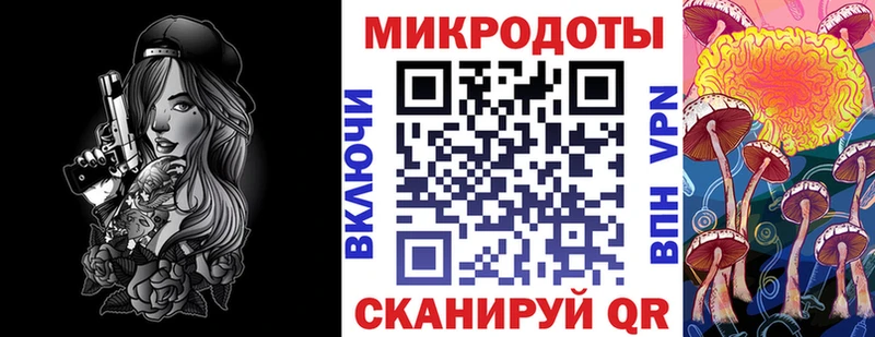 Псилоцибиновые грибы Psilocybe где найти Сухиничи